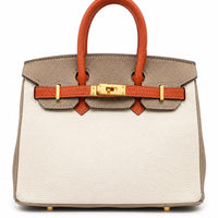 Tri-Color Birkin-Style Luxury Handbag for Women