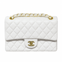 Chanel Quilted Classic Flap Handbag for Women